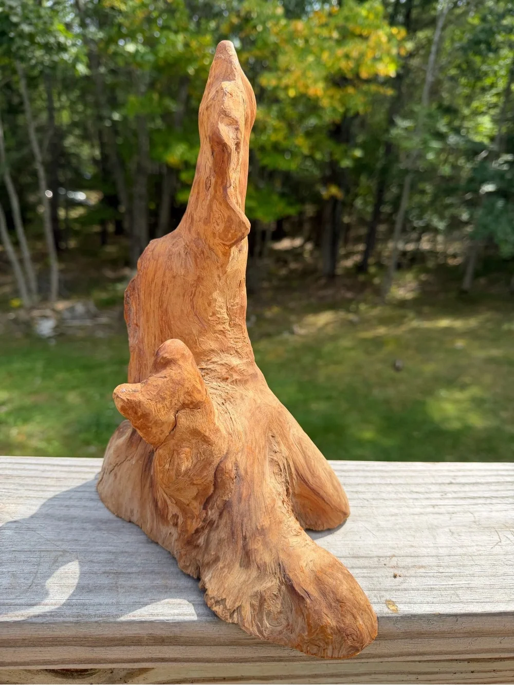 Ornamental Wood | Organic Bio Decor | Versatile!